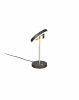 Lampka stołowa nocna LED okrągły klosz nowoczesna designerska ozdobna ściemnialna GUANO 534410107 Trio